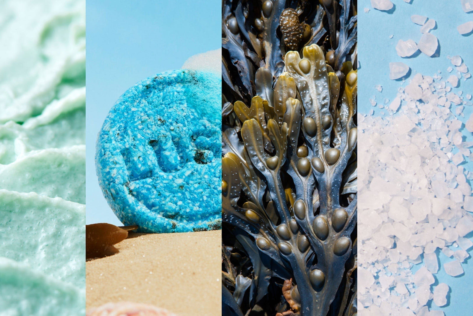 Tauche ein in die Frische des Meeres