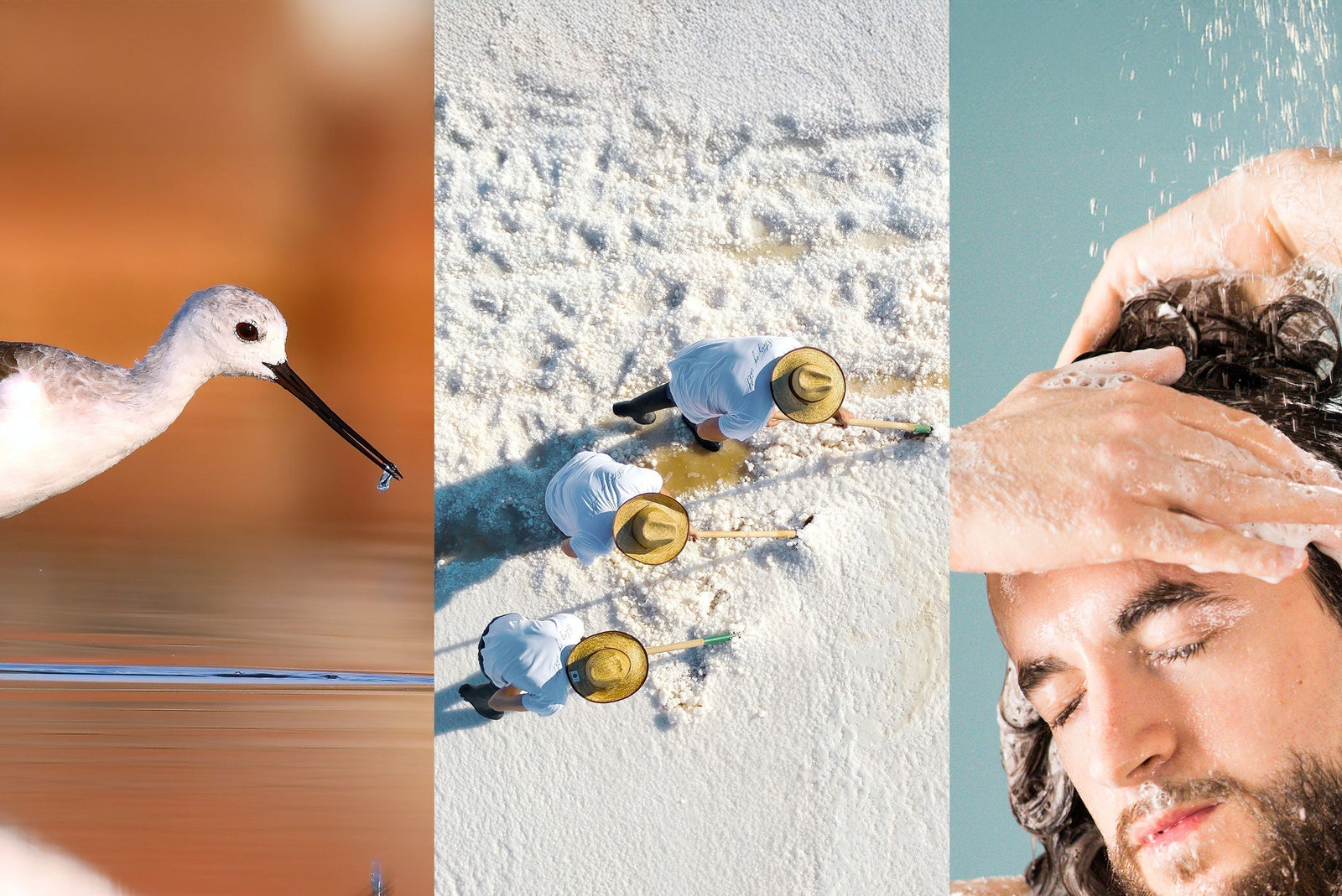 Produktleitfaden für eine wilde Routine