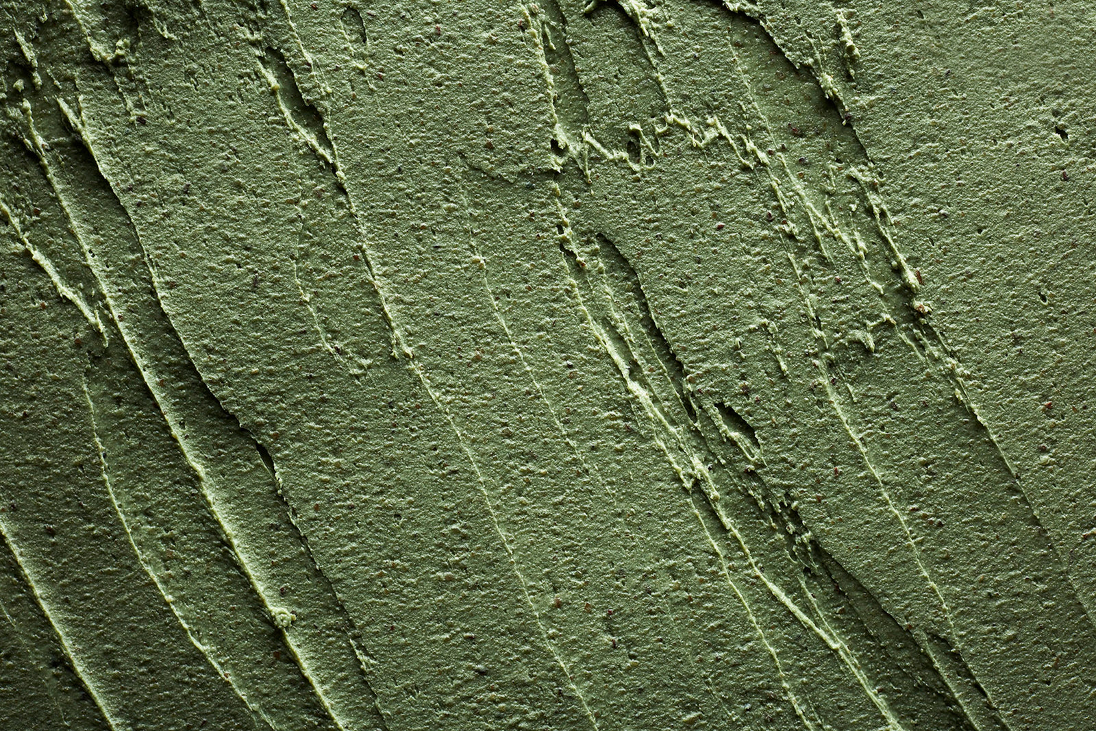 Selbstkonservierung einfach erklärt