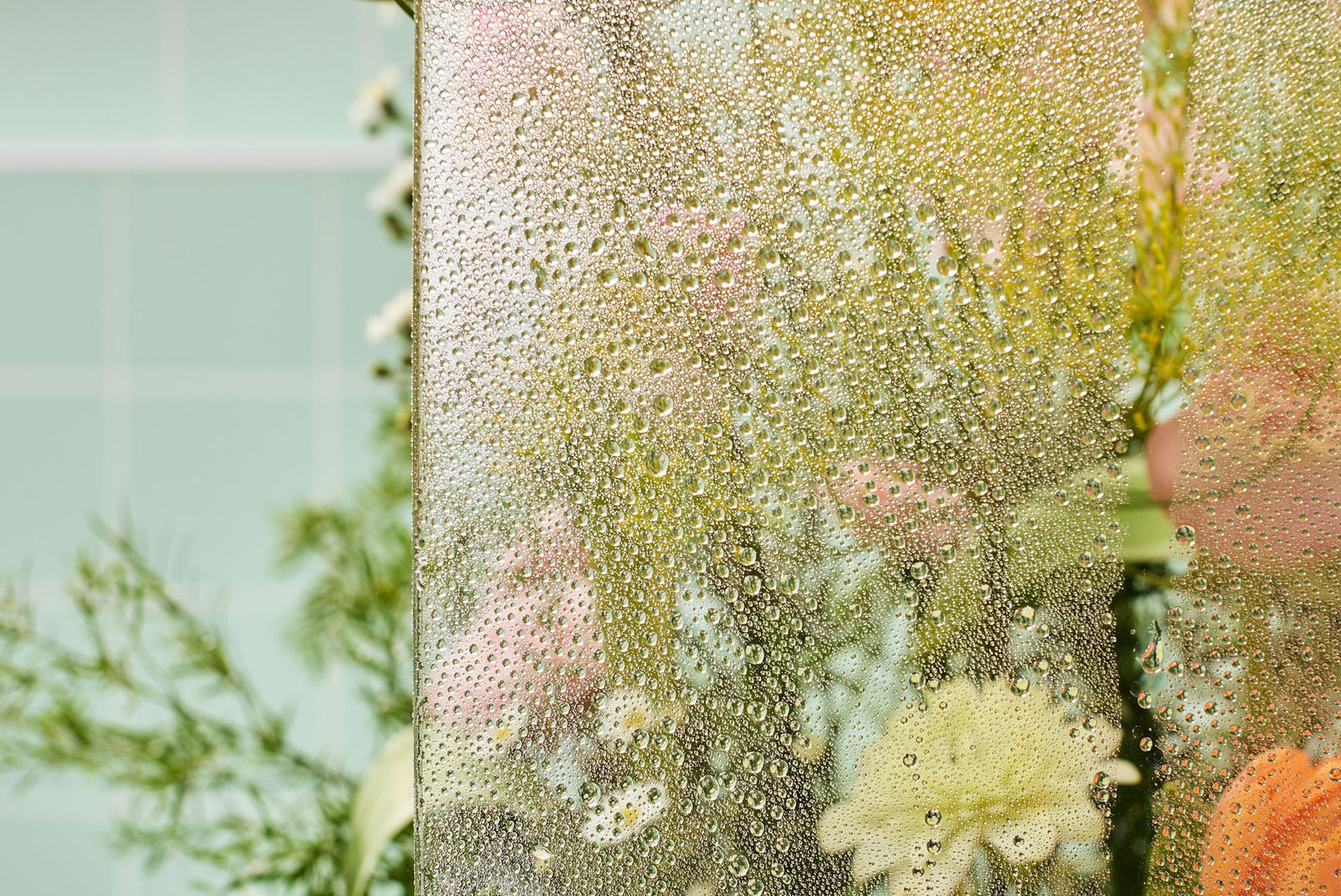 Blütenkraft die pflegt