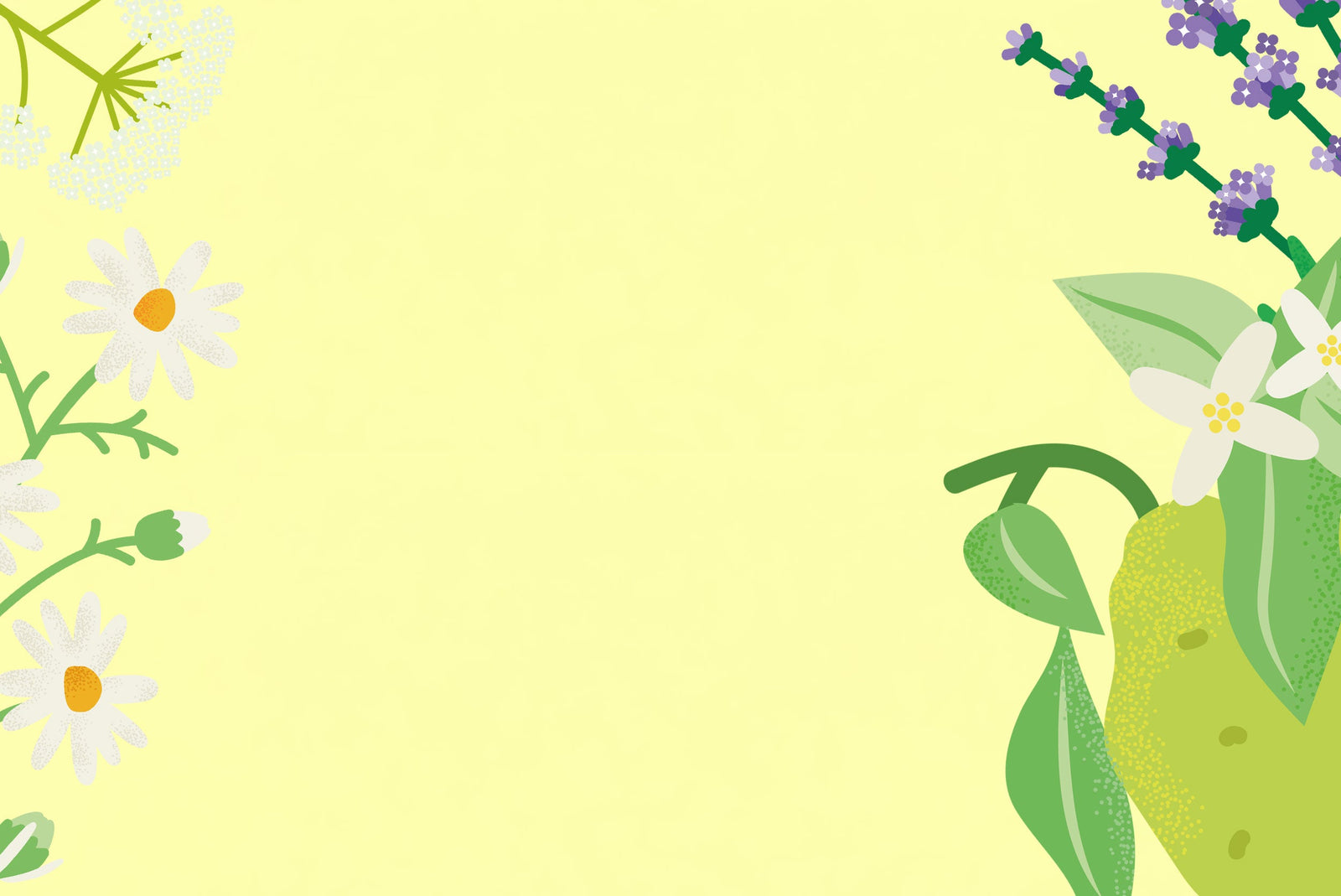 Blütenkraft die pflegt