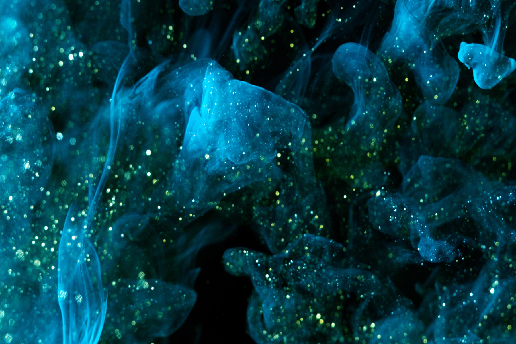 Geschenke & Co. Gutscheine