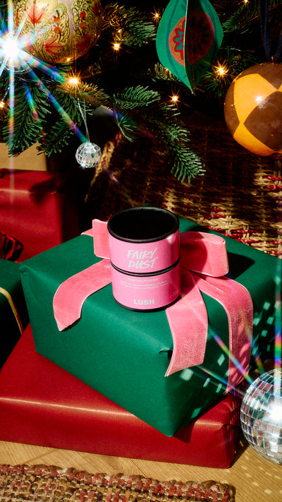 01_fairy_dust_dusting_powder_christmas_hero_2026
