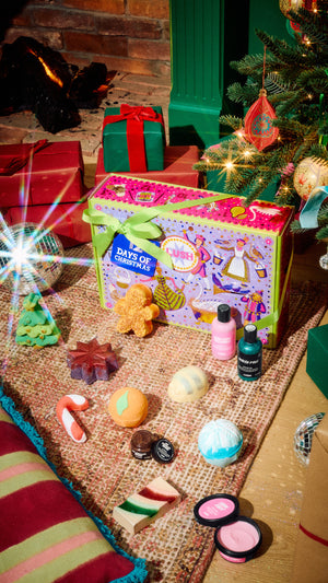 02_12_days_of_christmas_gift_christmas_2026_112