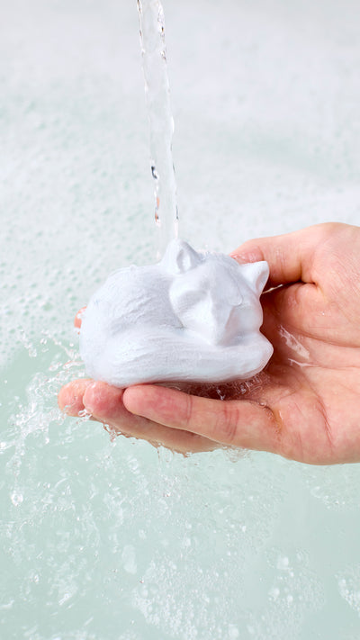 02_arctic_fox_bubble_bar_hero_bath_art_christmas_2026 1