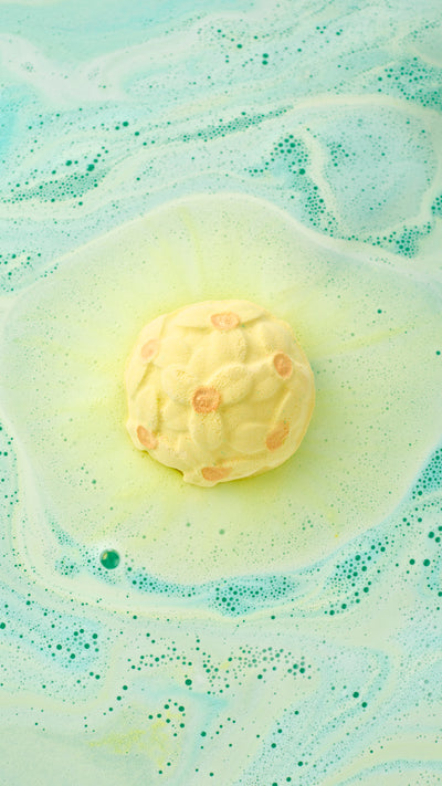 02_narcissus_bath_bomb_wbbd_hero_2026_8