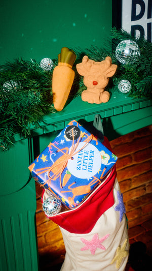 02_santa's_little_helper_gift_christmas_2026_42