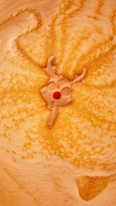 03_reindeer_bath_bomb_hero_2026_ 14