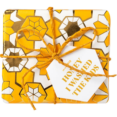 Honey I washed the Kids