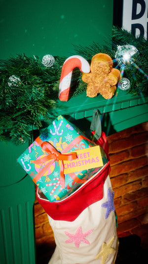ROW_sweet_christmas_gift_christmas_2026_47