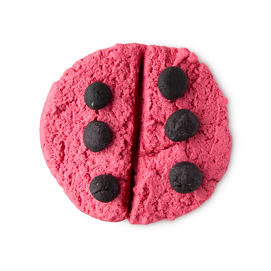 ladybird-cleanser-reiniger