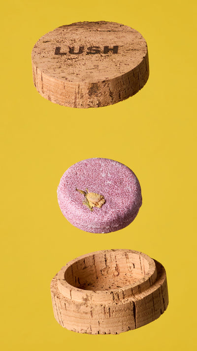 angel-hair-shampoo-bar-shampoo