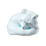Arctic Fox