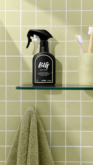 big-body-spray-body-sprays