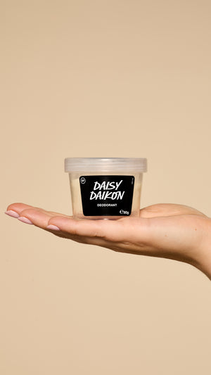 daisy-daikon-deo-pot-80g-