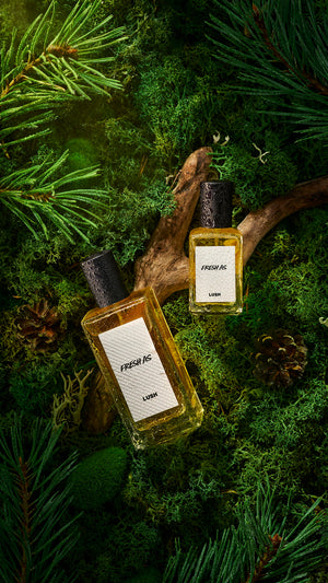 fresh-as-perfume-parfüm