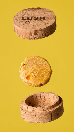 godiva-shampoo-bar-shampoo