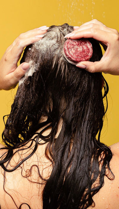 jason-and-the-argan-oil-shampoo-bar-shampoo