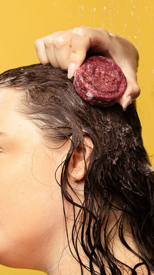 jason-and-the-argan-oil-shampoo-bar-shampoo