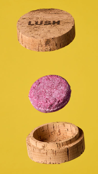 jason-and-the-argan-oil-shampoo-bar-shampoo