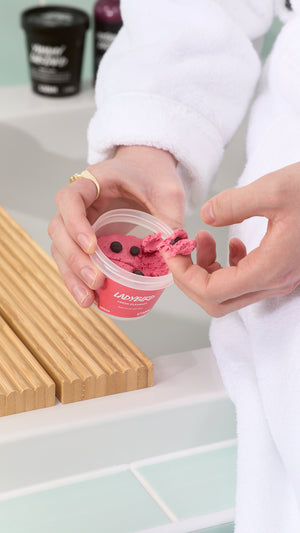 ladybird-cleanser-reiniger