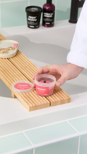 ladybird-cleanser-reiniger