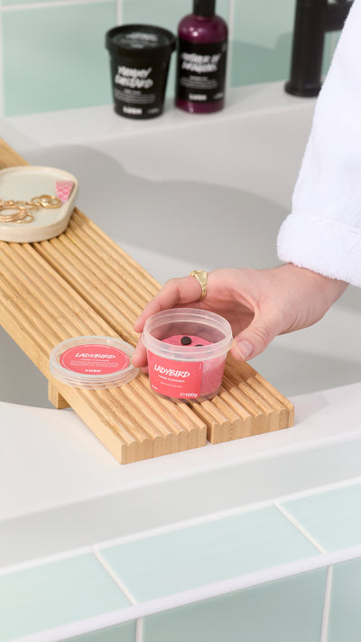 ladybird-cleanser-reiniger