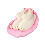 Moomin Delight