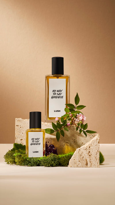 no-way-to-say-goodbye-perfume-parfüm