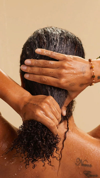power-conditioner-conditioner