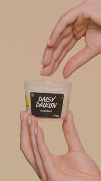 daisy-daikon-deo-pot-80g-