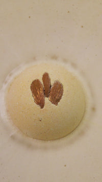 super-milk-badebomben