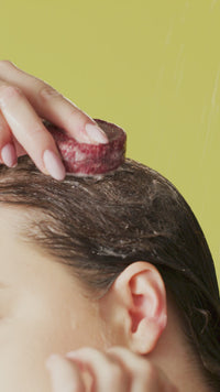 jason-and-the-argan-oil-shampoo-bar-shampoo