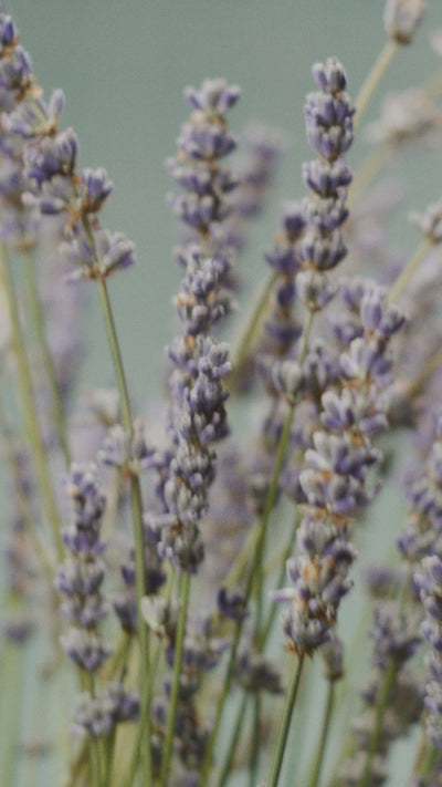 Blütenkraft die pflegt