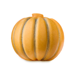 Pumpkin Scrubee